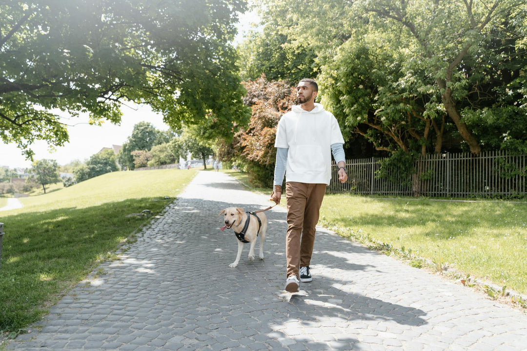 Om langer fit te blijven loopt man met hond buiten